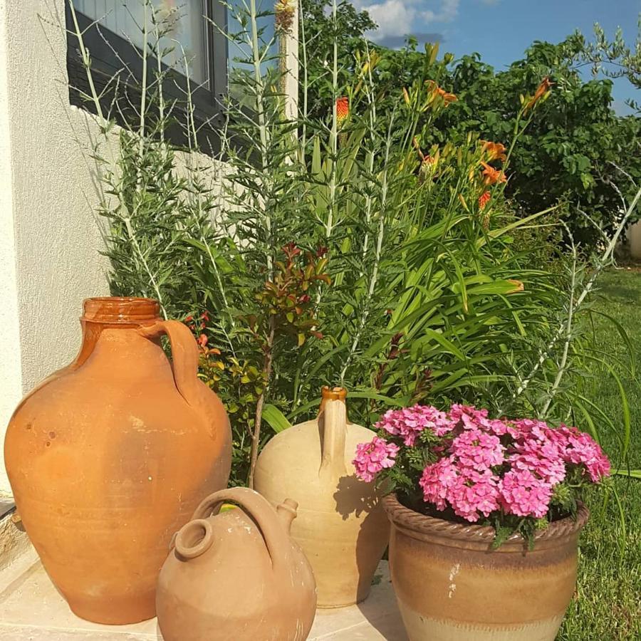 Philoxenia Bed & Breakfast Pourrieres ภายนอก รูปภาพ