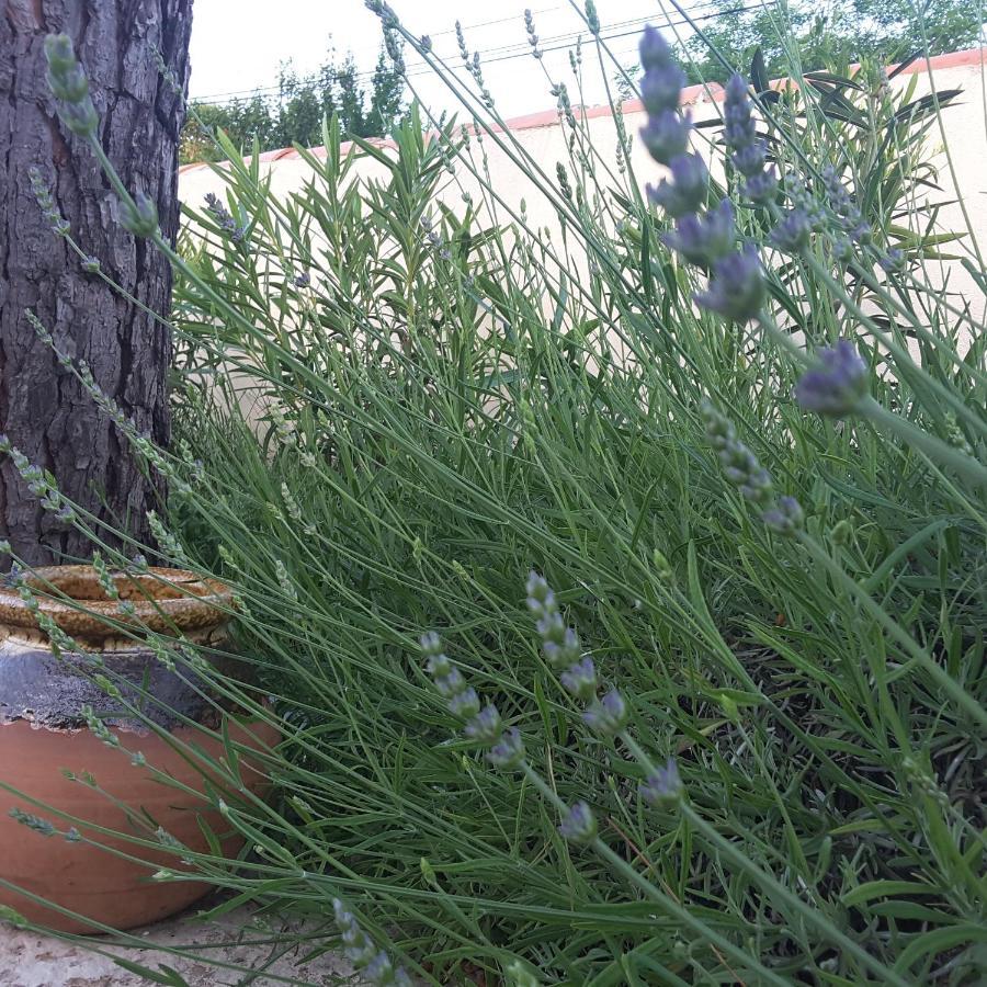 Philoxenia Bed & Breakfast Pourrieres ภายนอก รูปภาพ